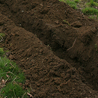 projects_feature_digging