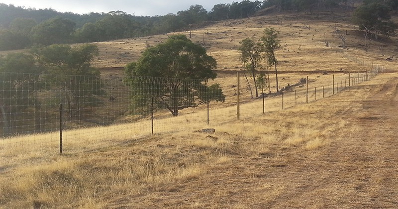 Fencing Fencing